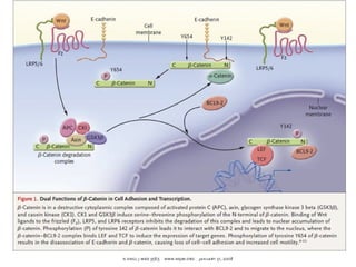 Molecular biologyofca csbrp