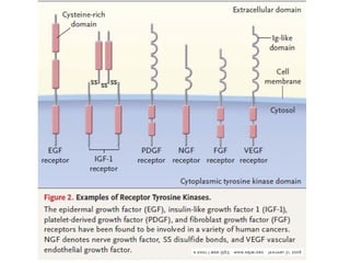Molecular biologyofca csbrp