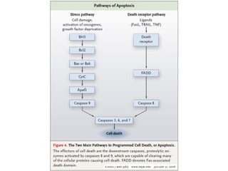 Molecular biologyofca csbrp