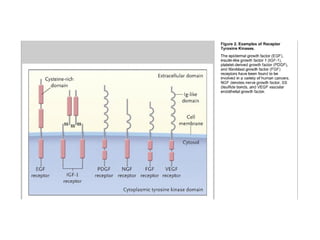 Molecular biologyofca csbrp