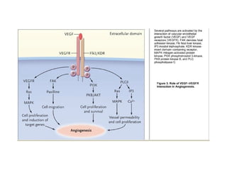 Molecular biologyofca csbrp