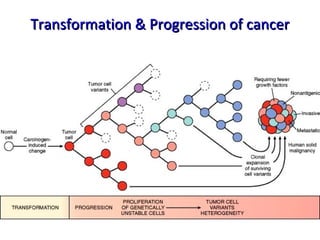 Transformation & Progression of cancerTransformation & Progression of cancer
 