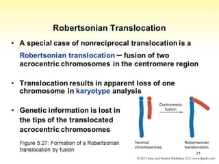 Translocated Incompatibility Nonreciprocal Translocation