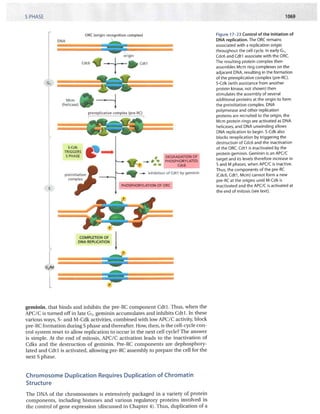 Pre Rc Molecular biology of the cell, 5th ed | PDF