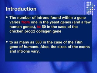 Molecular biology of the gene ch 13 rna splicing part1 | PPT