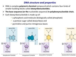 MolecularbiologyPpt.pptfgxhhhhhhhhhhhhhh | PPTX
