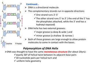 MolecularbiologyPpt.pptfgxhhhhhhhhhhhhhh | PPTX