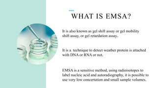 Electrophoretic mobility shift assay ppt.pptx