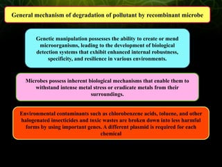 microbial remediation of polluted environment by using recombinant ppt ...