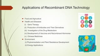 Applications of Recombinant DNA Technology
 Food and Agriculture
 Health and Diseases
(i) Gene Therapy
(ii) Production of Antibodies and Their Derivatives
(iii) Investigation of the Drug Metabolism
(iv) Development of Vaccines and Recombinant Hormones
(v) Chinese Medicines
 Environment
(i) Phytoremediation and Plant Resistance Development
(ii) Energy Applications
 
