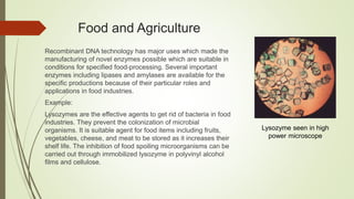 Food and Agriculture
Recombinant DNA technology has major uses which made the
manufacturing of novel enzymes possible which are suitable in
conditions for specified food-processing. Several important
enzymes including lipases and amylases are available for the
specific productions because of their particular roles and
applications in food industries.
Example:
Lysozymes are the effective agents to get rid of bacteria in food
industries. They prevent the colonization of microbial
organisms. It is suitable agent for food items including fruits,
vegetables, cheese, and meat to be stored as it increases their
shelf life. The inhibition of food spoiling microorganisms can be
carried out through immobilized lysozyme in polyvinyl alcohol
films and cellulose.
Lysozyme seen in high
power microscope
 