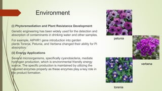 Environment
(i) Phytoremediation and Plant Resistance Development
Genetic engineering has been widely used for the detection and
absorption of contaminants in drinking water and other samples.
For example, AtPHR1 gene introduction into garden
plants Torenia, Petunia, and Verbena changed their ability for Pi
absorption.
(ii) Energy Applications
Several microorganisms, specifically cyanobacteria, mediate
hydrogen production, which is environmental friendly energy
source. The specific production is maintained by utilizing the
required enzymes properly as these enzymes play a key role in
the product formation.
petunia
verbena
torenia
 