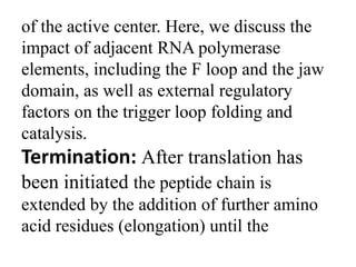 of the active center. Here, we discuss the
impact of adjacent RNA polymerase
elements, including the F loop and the jaw
domain, as well as external regulatory
factors on the trigger loop folding and
catalysis.
Termination: After translation has
been initiated the peptide chain is
extended by the addition of further amino
acid residues (elongation) until the
 