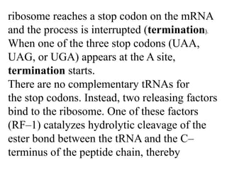 ribosome reaches a stop codon on the mRNA
and the process is interrupted (termination).
When one of the three stop codons (UAA,
UAG, or UGA) appears at the A site,
termination starts.
There are no complementary tRNAs for
the stop codons. Instead, two releasing factors
bind to the ribosome. One of these factors
(RF–1) catalyzes hydrolytic cleavage of the
ester bond between the tRNA and the C–
terminus of the peptide chain, thereby
 