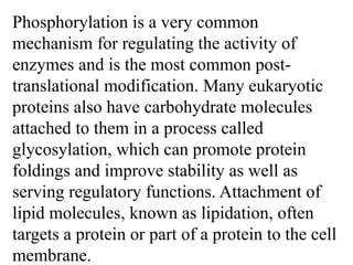 Phosphorylation is a very common
mechanism for regulating the activity of
enzymes and is the most common post-
translational modification. Many eukaryotic
proteins also have carbohydrate molecules
attached to them in a process called
glycosylation, which can promote protein
foldings and improve stability as well as
serving regulatory functions. Attachment of
lipid molecules, known as lipidation, often
targets a protein or part of a protein to the cell
membrane.
 