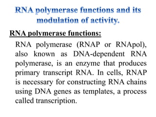 RNA polymerase functions:
RNA polymerase (RNAP or RNApol),
also known as DNA-dependent RNA
polymerase, is an enzyme that produces
primary transcript RNA. In cells, RNAP
is necessary for constructing RNA chains
using DNA genes as templates, a process
called transcription.
 