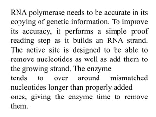 RNA polymerase needs to be accurate in its
copying of genetic information. To improve
its accuracy, it performs a simple proof
reading step as it builds an RNA strand.
The active site is designed to be able to
remove nucleotides as well as add them to
the growing strand. The enzyme
tends to over around mismatched
nucleotides longer than properly added
ones, giving the enzyme time to remove
them.
 