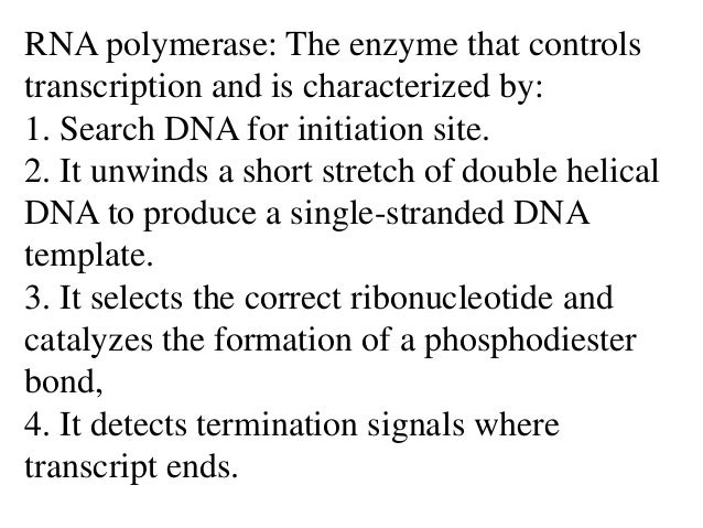 molecular biology presentation molecular biology presentation, Presentation templates