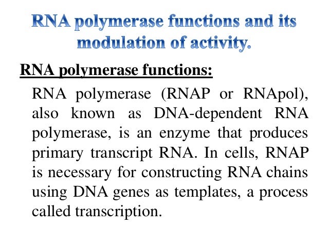 molecular biology presentation molecular biology presentation, Presentation templates