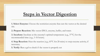 Enzyme Digested Vector Restriction enzymes and digestion of vector.pptx
