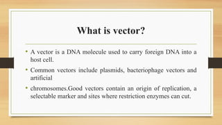 Restriction enzymes and digestion of vector.pptx