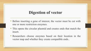 Enzyme Digested Vector Restriction enzymes and digestion of vector.pptx