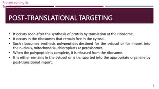 POST-TRANSLATIONAL TARGETING
• It occurs soon after the synthesis of protein by translation at the ribosome.
• It occurs in the ribosomes that remain free in the cytosol.
• Such ribosomes synthesis polypeptides destined for the cytosol or for import into
the nucleus, mitochondria, chloroplasts or peroxisomes.
• When the polypeptide is complete, it is released from the ribosome.
• It is either remains in the cytosol or is transported into the appropriate organelle by
post-transitional import.
3
Protein sorting &
Translocation
 