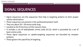 SIGNAL SEQUENCES
• Signal sequences are the sequences that help in targeting proteins to their proper
cellular destinations.
• These sequences are present in the synthesized protein itself.
• They are about 20 – 50 amino acids long.
• Located at the N-terminus of the nascent chain.
• It includes a set of hydrophobic amino acids (6-12), which is preceded by a set of
basic amino acids.
• These signal sequences or uptake-targeting sequences are bounded by receptor
proteins.
• These govern the specificity of targeting.
6
Protein sorting &
Translocation
 