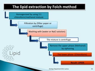Folch Method Molecular Biological Techniques in Zoology | PPTX