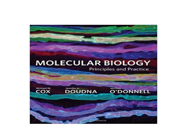 Free Epub Molecular Biology Principles And Practice Fir Edition
