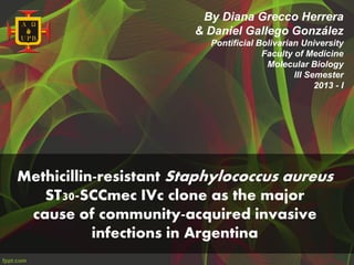 By Diana Grecco Herrera
                        & Daniel Gallego González
                          Pontificial Bolivarian University
                                       Faculty of Medicine
                                        Molecular Biology
                                               III Semester
                                                     2013 - I




Methicillin-resistant Staphylococcus aureus
   ST30-SCCmec IVc clone as the major
 cause of community-acquired invasive
           infections in Argentina
 