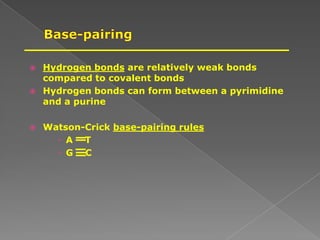  Hydrogen bonds are relatively weak bonds
compared to covalent bonds
 Hydrogen bonds can form between a pyrimidine
and a purine
 Watson-Crick base-pairing rules
 A T
 G C
 