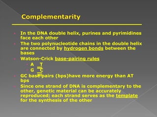  In the DNA double helix, purines and pyrimidines
face each other
 The two polynucleotide chains in the double helix
are connected by hydrogen bonds between the
bases
 Watson-Crick base-pairing rules
 A T
 G C
 GC base pairs (bps)have more energy than AT
bps
 Since one strand of DNA is complementary to the
other, genetic material can be accurately
reproduced; each strand serves as the template
for the synthesis of the other
 