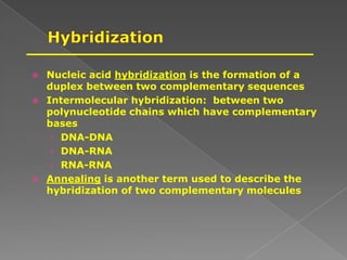  Nucleic acid hybridization is the formation of a
duplex between two complementary sequences
 Intermolecular hybridization: between two
polynucleotide chains which have complementary
bases
› DNA-DNA
› DNA-RNA
› RNA-RNA
 Annealing is another term used to describe the
hybridization of two complementary molecules
 