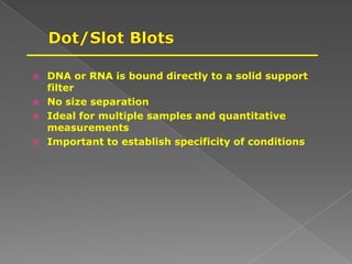  DNA or RNA is bound directly to a solid support
filter
 No size separation
 Ideal for multiple samples and quantitative
measurements
 Important to establish specificity of conditions
 
