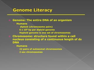  Genome: The entire DNA of an organism
› Humans
 diploid (chromosome pairs)
 6 x 109 bp per diploid genome
 Haploid genome is one set of chromosomes
 Chromosome: structure found within a cell
nucleus consisting of a continuous length of ds
DNA
› Humans
 22 pairs of autosomal chromosomes
 2 sex chromosomes
 
