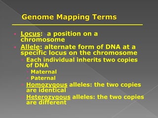 Locus: a position on a
chromosome
 Allele: alternate form of DNA at a
specific locus on the chromosome
 Each individual inherits two copies
of DNA
 Maternal
 Paternal
 Homozygous alleles: the two copies
are identical
 Heterozygous alleles: the two copies
are different
 