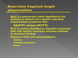  RFLP is a polymorphic allele identified by the
presence or absence of a specific restriction
endonuclease recognition site:
› GAATTC versus GATTTC
 RFLP is usually identified by digestion of genomic
DNA with specific restriction enzymes followed
by Southern blotting
 Regions of DNA with polymorphisms:
› Introns
› Flanking sequences
› Exons
 
