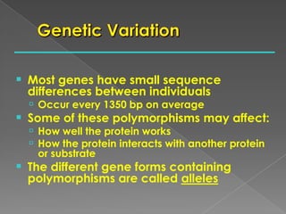  Most genes have small sequence
differences between individuals
 Occur every 1350 bp on average
 Some of these polymorphisms may affect:
 How well the protein works
 How the protein interacts with another protein
or substrate
 The different gene forms containing
polymorphisms are called alleles
 