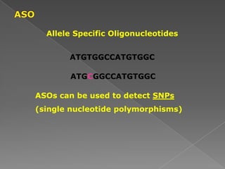 Allele Specific Oligonucleotides
ATGTGGCCATGTGGC
ATGCGGCCATGTGGC
ASOs can be used to detect SNPs
(single nucleotide polymorphisms)
 