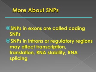 SNPs in exons are called coding
SNPs
SNPs in introns or regulatory regions
may affect transcription,
translation, RNA stability, RNA
splicing
 