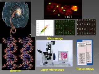 aRA
r = 0.91
log10(ratio),T3-3
Microarrays
FISH
Laser microscopegenome
Tissue arrays
 