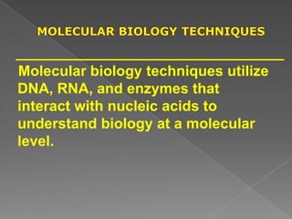 Molecular biology techniques utilize
DNA, RNA, and enzymes that
interact with nucleic acids to
understand biology at a molecular
level.
 