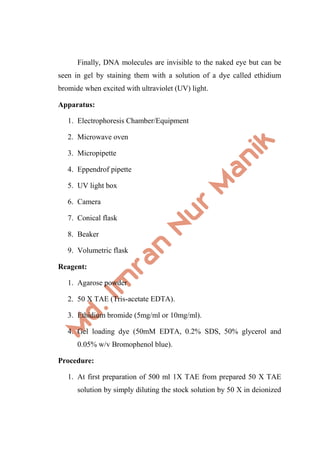 Finally, DNA molecules are invisible to the naked eye but can be
seen in gel by staining them with a solution of a dye called ethidium
bromide when excited with ultraviolet (UV) light.
Apparatus:
1. Electrophoresis Chamber/Equipment
2. Microwave oven
3. Micropipette
4. Eppendrof pipette
5. UV light box
6. Camera
7. Conical flask
8. Beaker
9. Volumetric flask
Reagent:
1. Agarose powder
2. 50 X TAE (Tris-acetate EDTA).
3. Ethidium bromide (5mg/ml or 10mg/ml).
4. Gel loading dye (50mM EDTA, 0.2% SDS, 50% glycerol and
0.05% w/v Bromophenol blue).
Procedure:
1. At first preparation of 500 ml 1X TAE from prepared 50 X TAE
solution by simply diluting the stock solution by 50 X in deionized
 