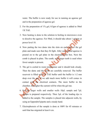water. The buffer is now ready for use in running an agarose gel
and in the preparation of agarose gel.
2. For the preparation of 1% gel, 0.5gm of agarose is added to 50ml
1X TAE.
3. Now heating is done to the solution to boiling in microwave oven
to dissolve the agarose. For 50ml, it should take about 1 minute at
power level 10.
4. Now putting the two dams into the slots on each side of the gel
plate and made sure that they fit fight. After sure melted agarose is
poured on to the gel plate in the electrophoresis box. Next the
comb is placed in plate. The comb, with larger teeth is used when
fewer sample is present.
5. The gel is cooled to room temperature and it should look cloudy.
Then the dams and the comb are carefully removed. The buffer
reservoir is filled with 1X TAE buffer until the buffer is 1-2 mm
deep over the gel. If we add much more buffer it will comes in
contact with the electrical contacts. The more buffer in the
chamber, the higher the current will be when the gel run.
6. For the larger wells and smaller wells 10μL sample and 7μL
sample is prepared respectively. Then 3μL of the loading dye is
added to the sample. The samples is placed into adjacent walls, by
using an Eppendrof pipette and a steady hand.
7. Electrophoresis of the sample is done at 100V for 45 minutes or
until that has migrated at least 6 cm.
 