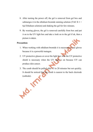 8. After turning the power off, the gel is removed from gel box and
submerges it in the ethidium bromide staining solution (TAE X 1 +
6μl Ethidium solution) and shaking the gel for few minutes.
9. By wearing gloves, the gel is removed carefully from box and put
it on to the UV light box and take a look on to the gel if ok, then a
picture is taken.
Precaution:
1. When working with ethidium bromide it is necessary to use gloves
because it is a powerful mutagen.
2. UV protective glasses or cover the light box with the UV protective
shield is necessary when the UV light is on because UV can
produce skin cancer.
3. The comb should be pulled after 15 to 20 minutes but not quickly.
It should be noticed that the comb is nearest to the back electrode
(cathode).
 