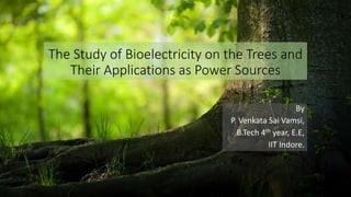 The Study of Bioelectricity on the Trees and
Their Applications as Power Sources
By
P. Venkata Sai Vamsi,
B.Tech 4th year, E.E,
IIT Indore.
 