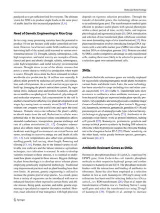 Molecular Biotechnology
1 3
paralyzed us to get sufficient food for everyone. The ultimate
vision for 2050 is to produce staple foods on the same piece
of arable land for this increased population [5, 6].
Need of Genetic Engineering in Rice Crop
In rice crop, many promising varieties have the potential to
produce 10 ton per hectare yield under controlled environ-
ment. However, local farmers under field conditions end up
harvesting half of the actual yield reasoned to various envi-
ronmental stresses [7]. Drought, salinity, submergence, cold,
high temperature, and metal toxicity are examples of biotic
(insect and pest) and abiotic (drought, salinity, submergence,
cold, high temperature, and metal toxicity) environmental
stresses. Drought stress is one of the abiotic stresses that
poses a severe threat to world rice production when water
is scarce. Drought stress alone has been estimated to reduce
worldwide rice production by 18 million tons annually. It
affects plant growth by reducing cell growth, cell elonga-
tion, and cell expansion. As a result, reactive oxygen species
build up, damaging the plant's antioxidant system. By regu-
lating stress-induced gene and protein functions, drought
stress modifies morphological, biochemical, physiological,
and molecular responses. Salt concentrations in the soil is
another crucial factor affecting rice plant development at all
stages by causing ionic or osmotic stress [8–10]. Excess of
sodium ions compete with useful ions and upset the ionic
balance. Osmotic stress can influence the plant’s ability
to absorb water from the soil. Reduction in cellular water
potential due to the increased solute concentration affects
stomatal conductance, transpiration, gaseous exchange and
rate of carbon assimilation [11, 12]. Complete submer-
gence also affects many upland rice cultivars critically. A
moderate waterlogged environment can extend leaves and
stems, resulting in excessive energy use and death of cells
[13, 14]. Low temperatures also affect rice germination,
seedling growth, leaf curving, shoot length, flowering and
tillering [15, 16]. Further, due to the limited variety of cul-
tivable rice cultivars and the labour intensive agriculture
techniques, rice cultivation is seasonal. In order to develop
varieties resistant to these stresses, it is essential to under-
stand how plants respond to these stresses. Biggest challenge
in plant biotechnology is to develop stress tolerant plants
employing genetically engineered technology. Traditional
crop improvement practices such as plant breeding have their
own limits. At present, genetic engineering is utilized to
increase the genetic pool of crop species. As a result, genes
from a variety of organisms can be introduced with new or
enhanced functions when exposed to certain biotic and abi-
otic stresses. Being quick, accurate, and stable, genetic engi-
neering is speculated as superior alternative method. How-
ever, exact selection of true transgenics with high precision
depends on rigorous selection procedures. Through the
transfer of desirable genes, this technology allows access
to an unlimited gene pool. The transformation method quiet
efficient to produce useful plants with special phenotypes
within a short period of time, rectify faults, and improve
physiological and agronomical traits [5]. DNA introduction
and selection of true transformed plant cells/tissue constitute
two most demanding steps of rice transformation [17]. Rice
plant transformation involves introducing foreign DNA seg-
ments with a selectable marker gene (SMG) into either plant
nuclear DNA or chloroplast genome [18]. Proteins encoded
by SMGs confer competitive advantage on only transformed
cells, making them more likely to be selected in presence of
a selection agent over untransformed cells.
SMGs
Antibiotic/herbicide resistance genes are initially employed
for successfully selecting transgenic model plants resistant to
various biotic and abiotic traits. Later, the same technology
has been extended to crops including rice and other cere-
als successfully [19, 20] (Table1). Transformed cells show
resistance to antibiotics when antibiotic resistance genes
from bacterial origin are expressed under plant-specific pro-
moters. Glycopeptides and aminoglycosides constitute major
classes of antibiotics employed in plant research. Hygromy-
cin, kanamycin, neomycin, gentamicin, geneticin (G418) and
paromomycin are of aminoglycoside types whereas bleomy-
cin belongs to glycopeptide family [21]. Antibiotics in the
aminoglycoside family work as protein inhibitors, halting
cell growth [22]. Kanamycin, gentamicin, geneticin and
neomycin block protein synthesis by binding 30S subunit in
ribosome whilst hygromycin occupies the ribosome binding
site in the elongation factor EF-2 [23]. Plants’ sensitivity, on
the other hand, varies greatly between species, genotypes,
and tissues [24–27].
Antibiotic Resistant Genes as SMGs
Neomycin phosphotransferase II (aphA2), expressed by
EPSPS gene, from Escherichia coli transfer phosphate
molecule to their respective hydroxyl groups and confers
resistance to kanamycin and G418. The phosphate molecule
hinders with the interactions and binding of antibiotics to
ribosomes. Same has also been employed as a selection
marker in rice as well. Kanamycin (150 mg/l) along with
cefotaxime has been used for selecting Indica rice (Oryza
sativa L.) cv. RD6 transformants [28]. Chan et al. report the
transformation of Indica rice cv. Taichung Native 1 using
nptII gene and select the transformed rice using 20 mg/l
of kanamycin [29]. Tripathi et al. attempt to increase
 