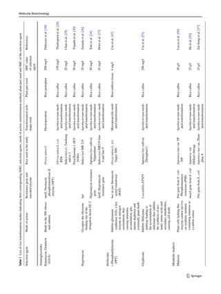 Molecular Biotechnology
1 3
Table
1  List
of
rice
transformation
studies
indicating
their
corresponding
SMG,
selection
agents,
mode
of
action,
transformation
method,
plant
part
used
and
MIC
of
the
selection
agent
Selection
agent
Mode
of
action
Resistance
gene
and
encoded
enzyme
Rice
used
in
the
study
Transformation
tech-
nique
used
Plant
part
used
MIC
value
of
selection
agent
References
Aminoglycosides
Kanamycin,
Geneticin
(G418)
Binds
to
the
30S
riboso-
mal
subunit
nptII,
Neomycin
phosphotransferase
II
enzyme
(NPT)
Oryza
sativa
L
Electroporation
Rice
protoplast
200
mg/l
Dekeyser
et
al.
[38]
(Oryza
sativa
L.)
cv.
RD6
Agrobacterium-medi-
ated
transformation
Rice
callus
150
mg/l
Thodsaporn
et
al.
[28]
Indica
rice
cv.
Taichung
native
1
Agrobacterium-medi-
ated
transformation
Rice
callus
20
mg/l
Chan
et
al.
[29]
Pusa
Basmati-1
(IET-
10364)
Agrobacterium-medi-
ated
transformation
Rice
callus
50
mg/l
Tripathi
et
al.
[30]
Hygromycin
Occupies
the
ribosome
binding
site
of
the
elongation
factor
EF-2
hpt
Indica
rice
MR
219
Agrobacterium-medi-
ated
transformation
Rice
callus
20
mg/l
Zuraida
et
al.
[36]
Hygromycin
resistance
gene
Japonica
rice
cultivar
‘Nipponbare’
Agrobacterium-medi-
ated
transformation
Rice
callus
50
mg/l
Toki
et
al.
[34]
hptII,
Hygromycin
resistance
gene
Indica
rice
MR219
line
4
and
line
9
Agrobacterium-
medi-
ated
transformation
Rice
callus
45
mg/l
Htwe
et
al.
[37]
Herbicides
l
-Phosphatidylserine
(PPT)
Inhibits
glutamine
synthetase
(GS),
a
key
enzyme
in
nitrogen
assimilation,
thus
causing
ammonia
accumulation,
glu-
tamine
depletion
and
eventually
plant
death
bar
or
pat,
bleomycin
acetyl
transferase
(BAT)
Oryza
sativa
L.
(cv
Taipei
309)
Microprojectile
medi-
ated
transformation
Rice
embryo
tissue
4
mg/l
Cao
et
al.
[47]
Glyphosate
Inhibits
Shikimate
pathway
leading
to
the
accumulation
of
shikimate
thus
inhibits
the
synthesis
of
aro-
matic
amino
acids
and
secondary
metabolites,
causing
cell
death
I.variabilis-EPSPS
Japonica
rice
cultivar
Zhonghua11
Agrobacterium-medi-
ated
transformation
Rice
callus
200
mg/l
Cui
et
al.
[53]
Metabolic
markers
Mannose
Plant
cells
lacking
this
enzyme
cannot
survive
on
synthetic
medium
containing
mannose
as
a
carbon
source
Pmi
gene
from
E.
coli,
Phosphomannose
isomerase
(PMI)
Japonica
rice
var.
TP
309
Agrobacterium-medi-
ated
transformation
Rice
callus
30
g/l
Lucca
et
al.
[56]
manA
gene
from
E.
coli
Japonica,
var
Ishikari-shiroge
Agrobacterium-medi-
ated
transformation
Rice
callus
25
g/l
He
et
al.
[54]
Pmi
gene
from
E.
coli
Japonica
rice
var.
Zhon-
ghua
8
Agrobacterium-medi-
ated
transformation
Rice
callus
10
g/l
Zai-Song
et
al.
[57]
 