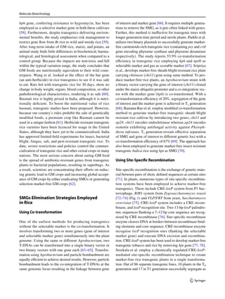 Molecular Biotechnology
1 3
hph gene, conferring resistance to hygromycin, has been
employed as a selective marker gene in both these cultivars
[58]. Furthermore, despite transgenics delivering environ-
mental benefits, the study emphasises risk management to
restrict gene flow from Bt rice to wild and weedy rice [59].
After long-term intake of GM rice, maize, and potato, an
animal study finds little differences in biochemical, haema-
tological, and histological assessment when compared to a
control group. Because the impacts are non-toxic and fall
within the typical variation range, the study concludes that
GM foods are nutritionally equivalent to their wild coun-
terparts. Wang et al. looked at the effect of the bar gene
(an anti-herbicide) in rice transgenics to see if it was safe
to eat. Rats fed with transgenic rice for 30 days, show no
change in body weight, organs, blood composition, or other
pathohistological characteristics, rendering it as safe [60].
Basmati rice is highly prized in India, although it is nutri-
tionally deficient. To boost the nutritional value of rice
basmati, transgenic studies have been proposed. However,
because our country’s rules prohibit the sale of genetically
modified foods, a premium crop like Basmati cannot be
used in a unique fashion [61]. Herbicide-resistant transgenic
rice varieties have been licenced for usage in the United
States, although they have yet to be commercialised. India
has approved limited field experiments for insect, bacterial
blight, fungus, salt, and pest-resistant transgenic rice. To
date, severe restrictions and policies control the commer-
cialization of transgenic rice and other cereal crops in many
nations. The most serious concern about eating GM food
is the spread of antibiotic-resistant genes from transgenic
plants to bacterial populations, resulting in superbugs. As
a result, scientists are concentrating their efforts on reduc-
ing genetic load in GM crops and increasing global accept-
ance of GM crops by either eradicating SMGs or generating
selection marker-free GM crops [62].
SMGs Elimination Strategies Employed
in Rice
Using Co‑transformation
One of the earliest methods for producing transgenics
without the selectable marker is the co-transformation. It
involves transforming two or more genes (gene of interest
and selectable marker gene) simultaneously into the plant
genome. Using the same or different Agrobacterium, two
T-DNAs can be transformed into a single binary vector or
two binary vectors with one gene each [63–65]. Transfor-
mation using Agrobacterium and particle bombardment are
equally efficient to achieve desired results. However, particle
bombardment leads to the co-integration of T-DNAs at the
same genomic locus resulting in the linkage between gene
of interest and marker gene [66]. It requires multiple genera-
tions to remove the SMG, as it gets often linked with genes.
Further, this method is ineffective for transgenic trees with
longer generation time period and sterile plants. Parkhi et al.
utilizes two binary plasmids to successfully generate marker-
free carotenoids-rich transgenic rice (containing psy and crtI
gene encoding phytoene synthase and phytoene desaturase
respectively). The study reports 53.9% co-transformation
efficiency in transgenic rice employing hph and nptII as
selectable marker and gus as scorable marker [67]. Sripriya
et al., develops marker-free sheath blight resistant rice plant
carrying chitinase (chi11) gene using same method. To pro-
duce marker-free rice plants, an Agrobacterium strain with
a binary vector carrying the gene of interest (chi11) cloned
under the maize ubiquitin promoter and a co-integration vec-
tor with the marker gene (hph) is co-transformed. With a
co-transformation efficiency of 20%, segregation of the gene
of interest and the marker gene is achieved in ­
T1 generation
[68]. Ramana Rao et al. employ modified co-transformation
method to generate marker-free transgenic sheath blight
resistant rice cultivar by introducing two genes, chi11 and
ap24. chi11 encodes endochitinase whereas ap24 encodes
osmotin exhibiting antifungal activity against Phytoph-
thora infestans. ­T1 generation reveals effective separation
of SMG and gene of interest to different genetic loci with a
co-transformation efficiency of 67% [69]. The approach has
also been employed to generate marker-free insect resistant
transgenic Indica rice using hpt as SMG [70].
Using Site‑Specific Recombination
Site-specific recombination is the exchange of genetic mate-
rial between pairs of short, defined sequences at certain sites
[71]. In plants, numerous types of site-specific recombina-
tion systems have been employed to achieve marker-free
transgenics. These include CRE-loxP system from P1 bac-
teriophage, R/RS system from Zygosaccharomyces rouxii
[72–74] (Fig.1) and FLP/FRT from yeast, Saccharomyces
cerevisiae [75]. CRE-loxP system includes a CRE recom-
binase, and loxP recognition site. Two 13-bp loxP palindro-
mic sequences flanking a 7–12 bp core sequence are recog-
nised by CRE recombinase [76]. Site-specific recombinase
enzyme cleaves DNA at borders between recombinase bind-
ing elements and core sequence. CRE recombinase enzyme
recognise loxP recognition sites (flanking the selectable
marker gene) and execute DNA excision and recombina-
tion. CRE-loxP system has been used to develop marker-free
transgenic tobacco and rice by removing hpt gene [77, 78].
Sreekala et al. employ a chemically regulated CRE-loxP-
mediated site-specific recombination technique to create
marker-free rice transgenic plants in a single transforma-
tion. Out of 86 separate transgenic lines, 10 plants in the ­
T0
generation and 17 in T1 generation successfully segregate as
 